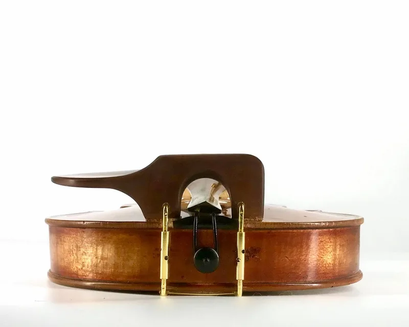 Boxwood Tall WAVE I violin chinrest