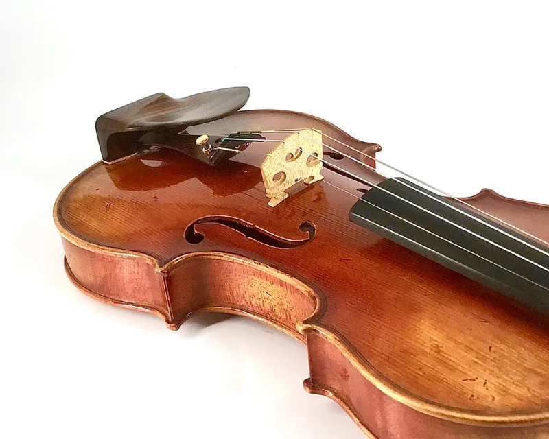 Rosewood Medium WAVE I violin chinrest