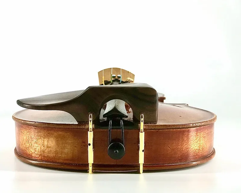 Rosewood Medium WAVE I violin chinrest