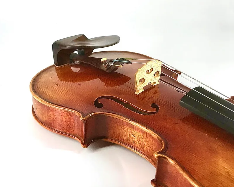 Rosewood Tall WAVE I violin chinrest