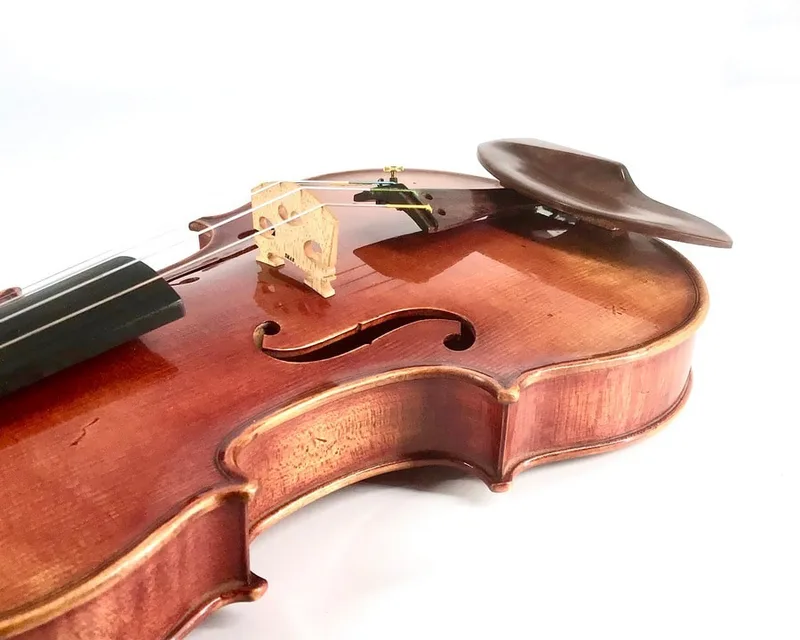 Rosewood Low WAVE I violin chinrest