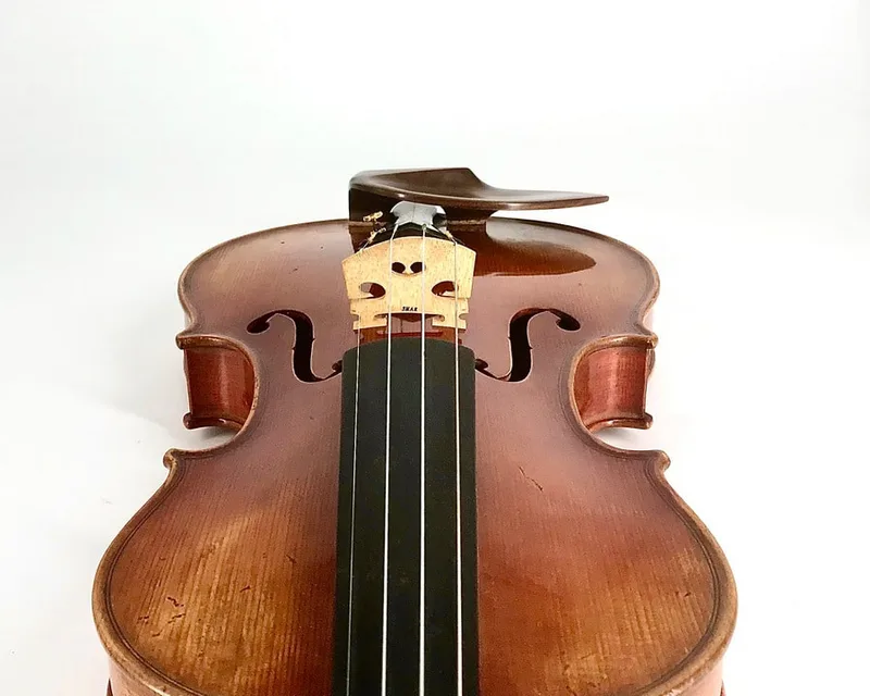 Rosewood Low WAVE I violin chinrest