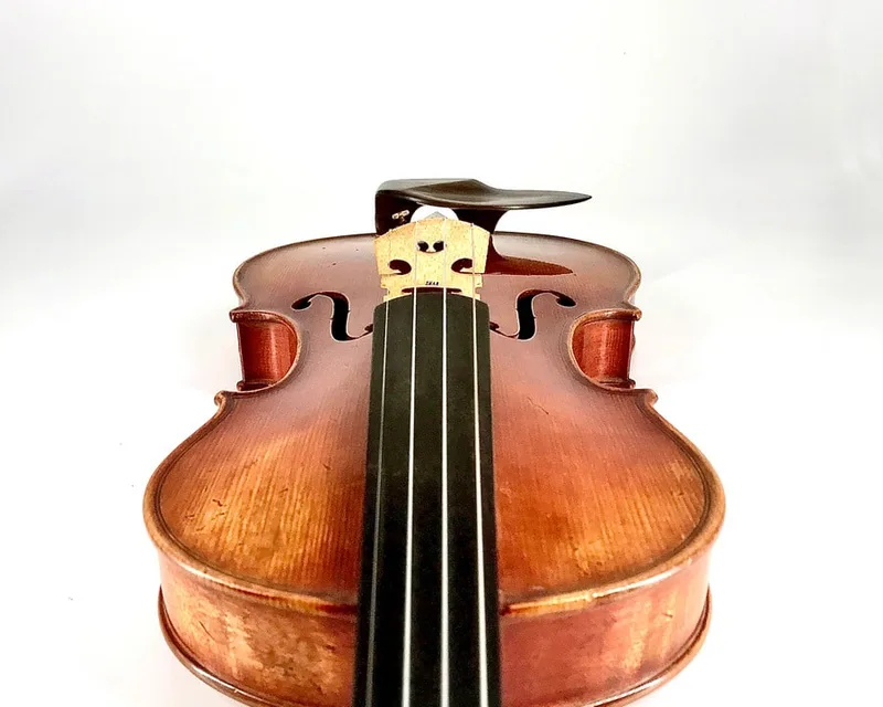 Rosewood Medium WAVE II violin chinrest