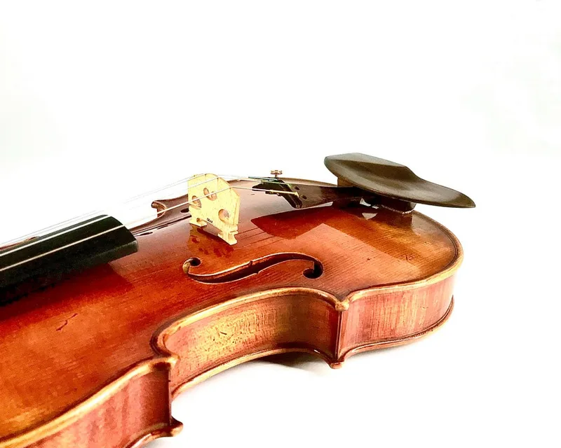 Rosewood Medium WAVE II violin chinrest