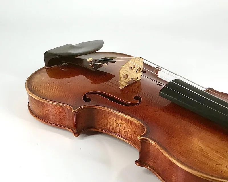Rosewood Low WAVE II violin chinrest