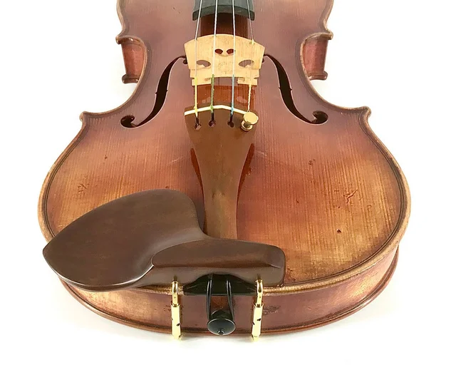 Boxwood Da Capo