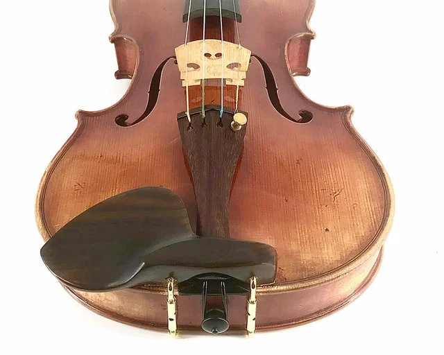 Rosewood WAVE Da Capo